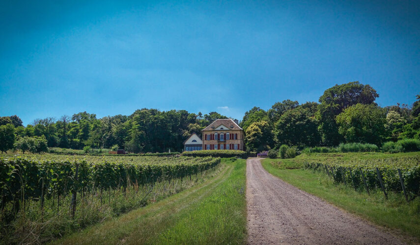 Auffahrt gut Odinstal