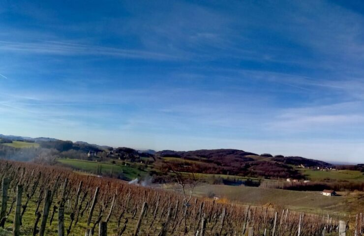 Aussicht Weingut Les Dolomies