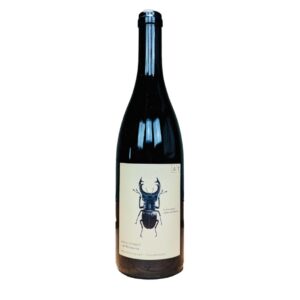 Andreas Tscheppe, Hirschkäfer Sauvignon-Morillon, Österreichischer Landwein, 2022