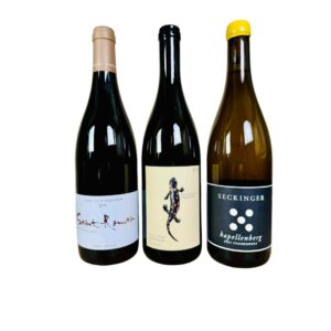 Chardonnay Fun Kit