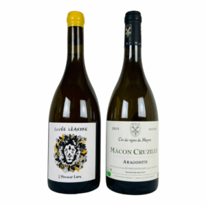 CDVM - Aragonite Double Whammy (2016 vs 2019)